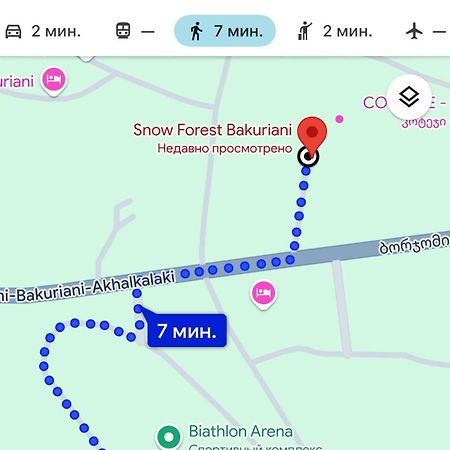 Snow Forest Bakuriani Apartment 10 Ngoại thất bức ảnh